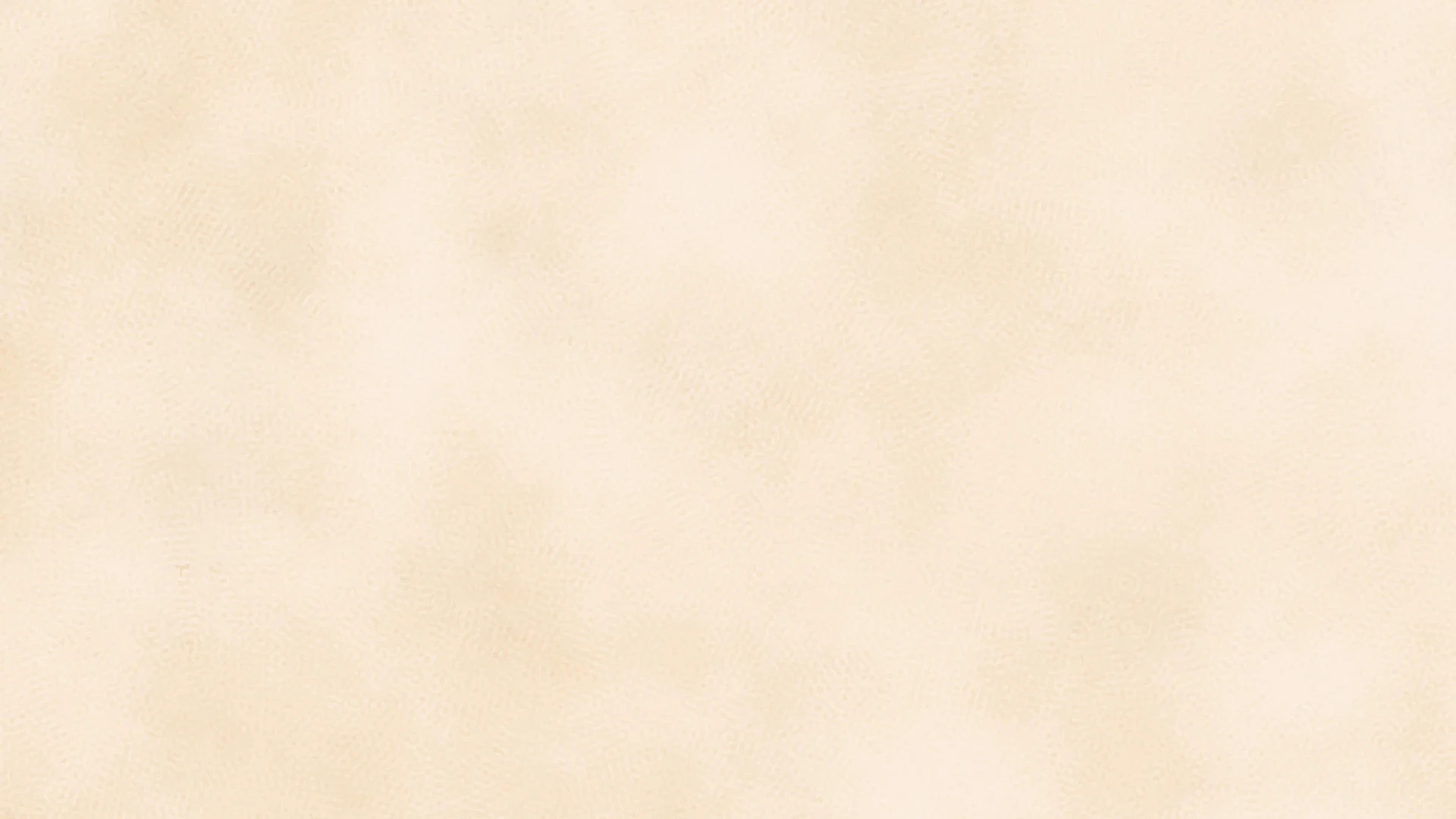 bg3.jpg